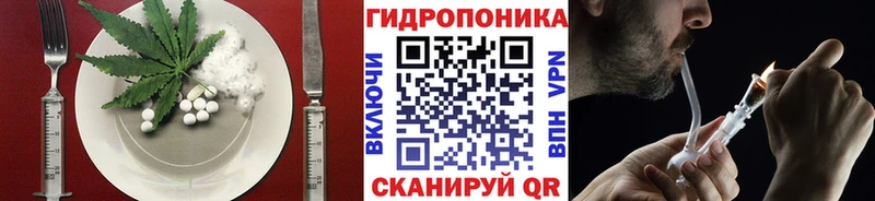 Еда ТГК марихуана  Нолинск 