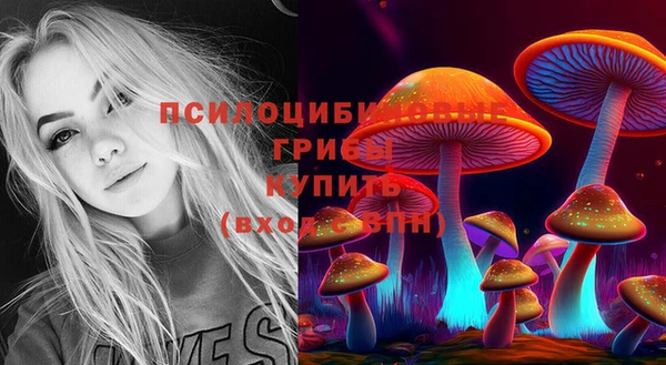 прущий лед Корсаков
