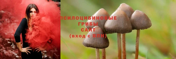 первитин Абинск