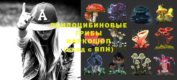 МДПВ Алексин