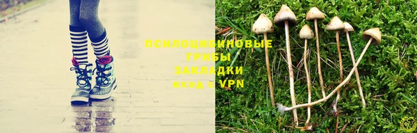 МДПВ Алексин