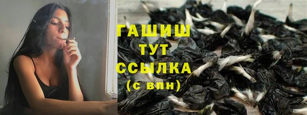 прущий лед Корсаков